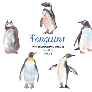 Download Arctic Clipart Watercolor Penguins Clip Art Cute Bird Etsy