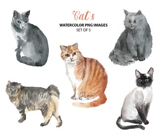 Cute cat clipart - Watercolor animal clip art - Pets watercolor illustration