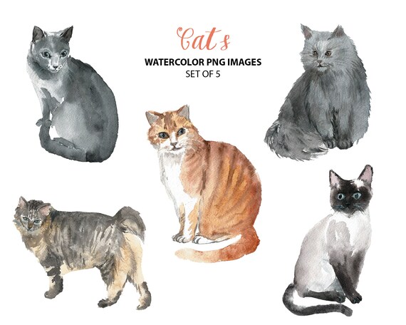Download Cute Cat Clipart Watercolor Animal Clip Art Pets Etsy