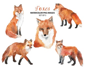 Illustration à l’aquarelle aquarelle renard clipart - clipart animal belle - mignon de la nature