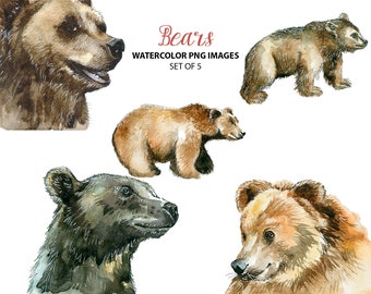 Beautiful bear clipart - Watercolor animal clip art - Cute nature watercolor illustration