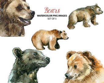 Wunderschöner Bär Clipart - Aquarell Tier ClipArt - süße Natur Aquarell