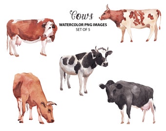 Watercolor cow clipart - Animal clip art - Farm animals illustration