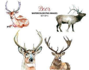 Beautiful deer clipart - Watercolor animal clip art - Cute nature watercolor illustration