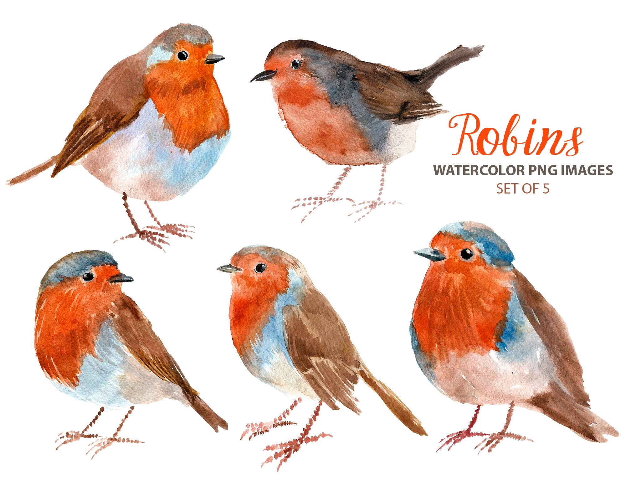 Robin Clipart Woodland Nursery Clip Art Watercolor Bird Illustration - Etsy  Ireland