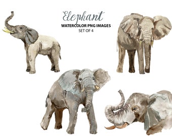 Cute watercolor elephant clipart - Safari nursery clipart - Animal illustrations