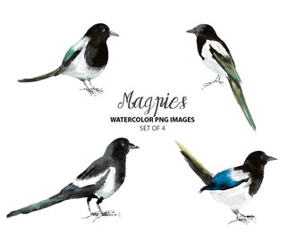 DIYthinker Bird Animal Magpie Grayhead Desktop Photo Frame Picture Display Art Painting Exhibit