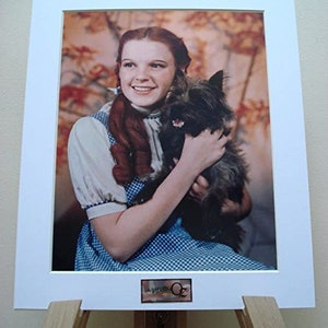 Judy Garland The Wizard of Oz mounted photograph