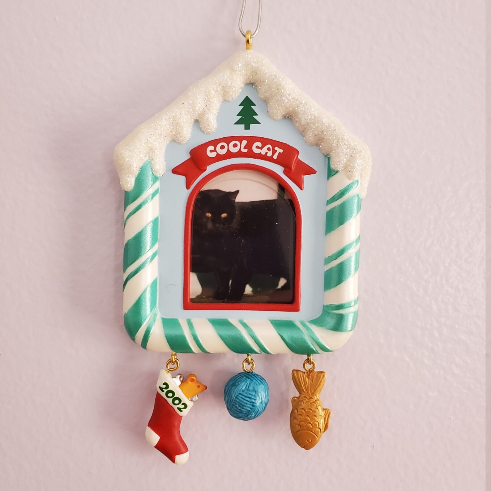 Hallmark Keepsake Ornament Cool Cat Special Cat Photo Ornament Etsy