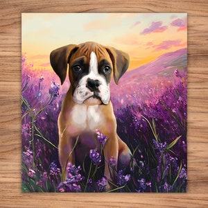Sunset in the Lilacs / Baby Boxer Dog sitting in a lilac meadow /Boxer Dog portrait / Dog Canvas print
