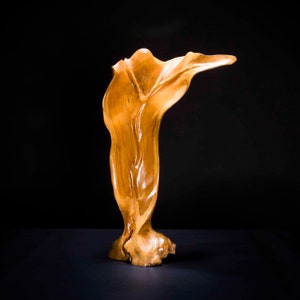 Abstract Wooden Leaf Carving