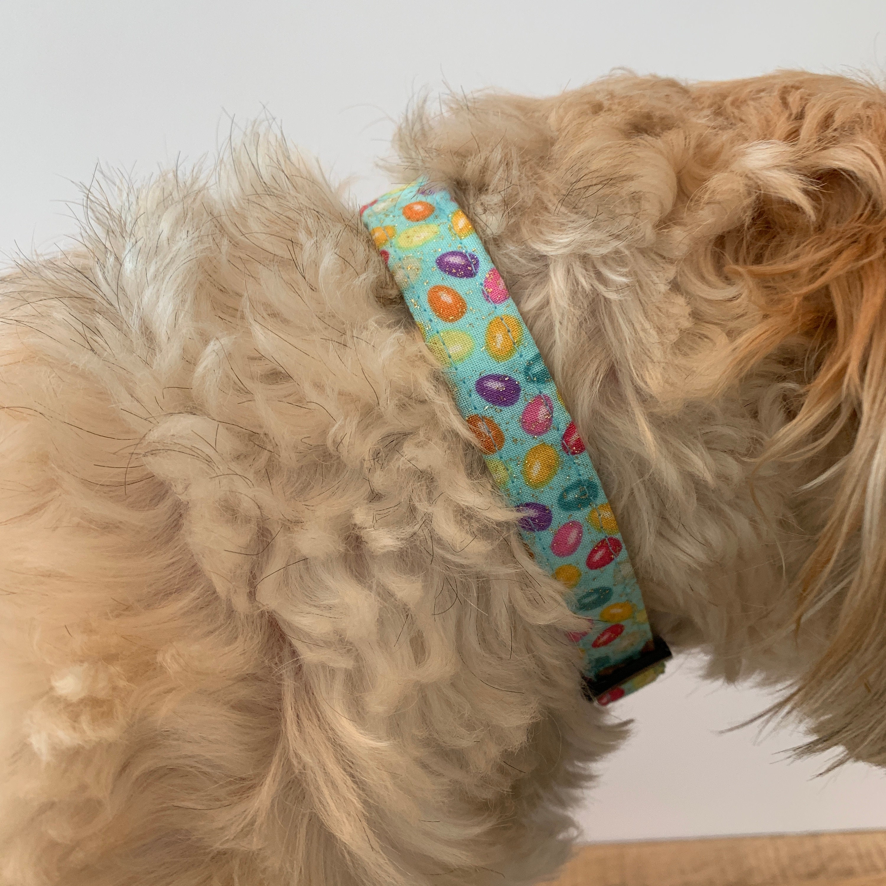 Jelly Bean Dog Collar Easter Dog Collar Etsy