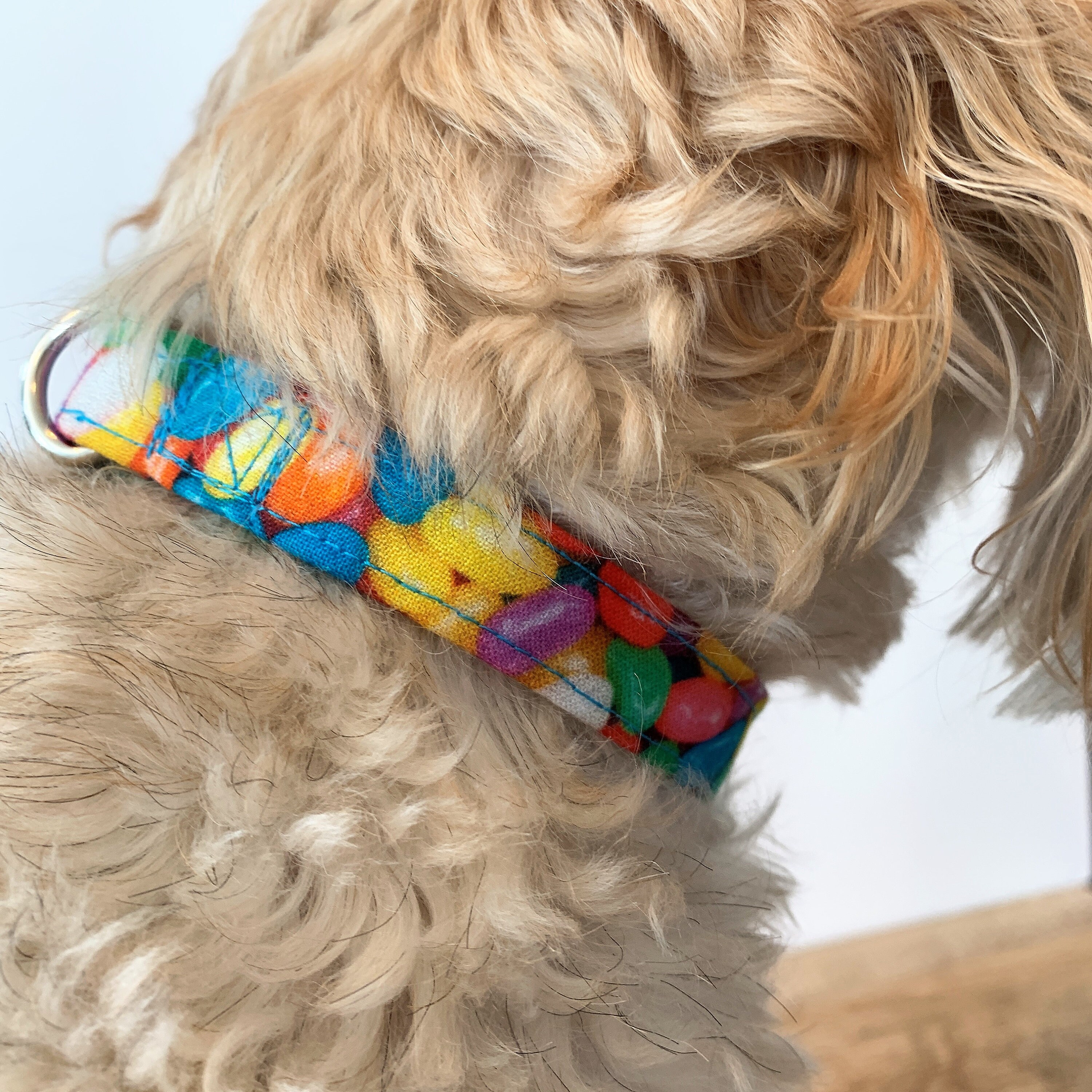 Jelly Bean Dog Collar Easter Dog Collar Etsy