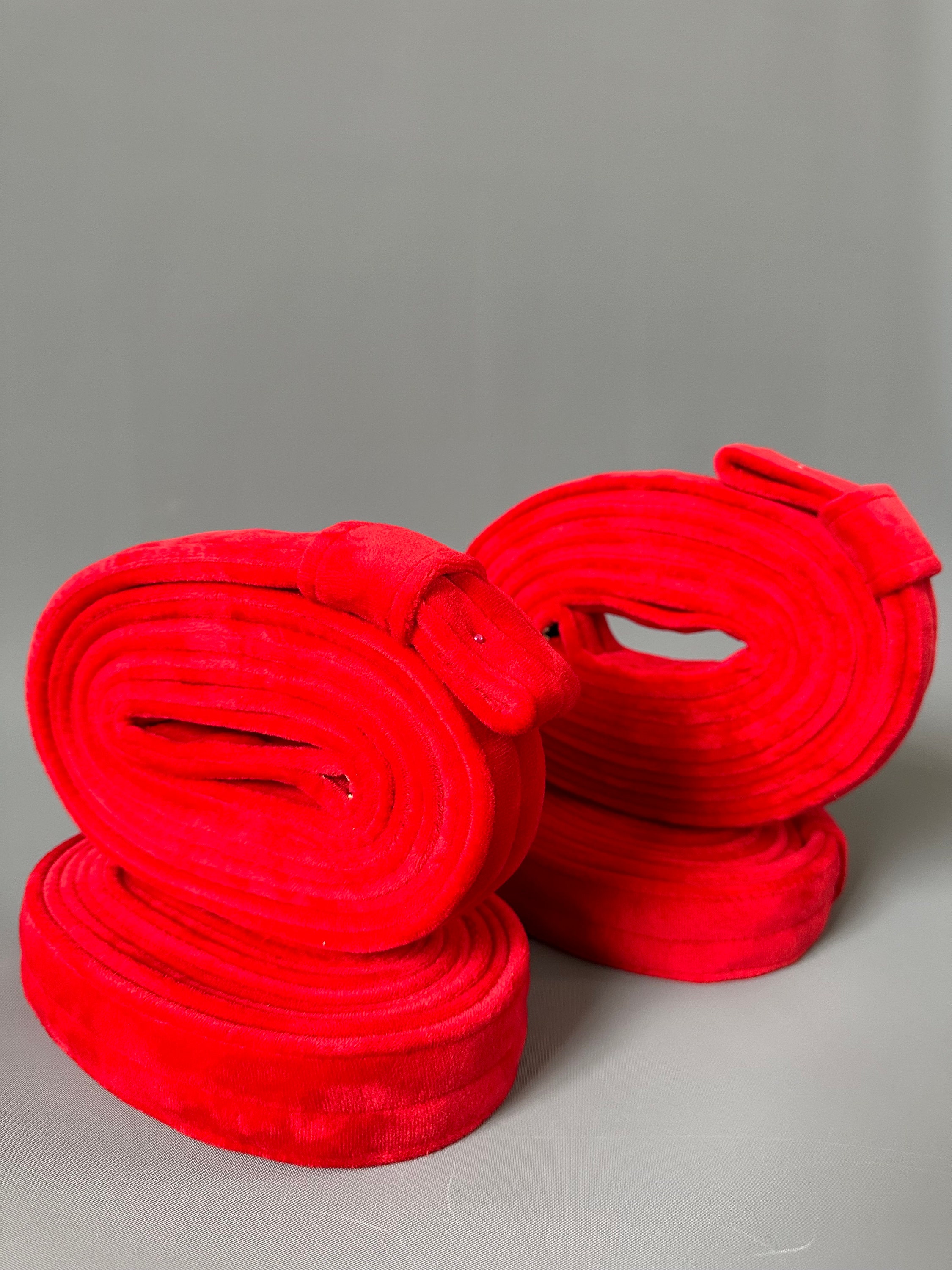 Aerial Straps Loops in Velvet, 2 pcs, Circus Loops for Aerial Gymnastics, Velvet Aerial Long Loops, Loops for Lira Acrobatics, Circus Straps