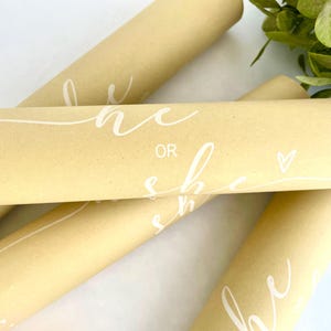 Lui o lei? Confetti pops da 11" per rivelare il sesso - Set da 2 o 4