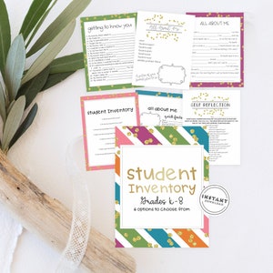 Rainbow Classroom Student Inventory | Back to School Questionnaire | K-8 Student Inventory Questions Colorful Theme | Gold Confetti