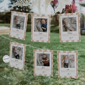 May include: A set of six baby milestone cards with a brown and white gingham pattern. Each card features a photo of a baby and the text "one month", "two months", "three months", "four months", "five months", and "six months".