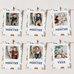 Banner mensal de fotos de dinossauros | Tema de dinossauro de fotos do primeiro ano para impressão | Banner mensal de cartões de marco de primeiro aniversário | Boho Dino fotos