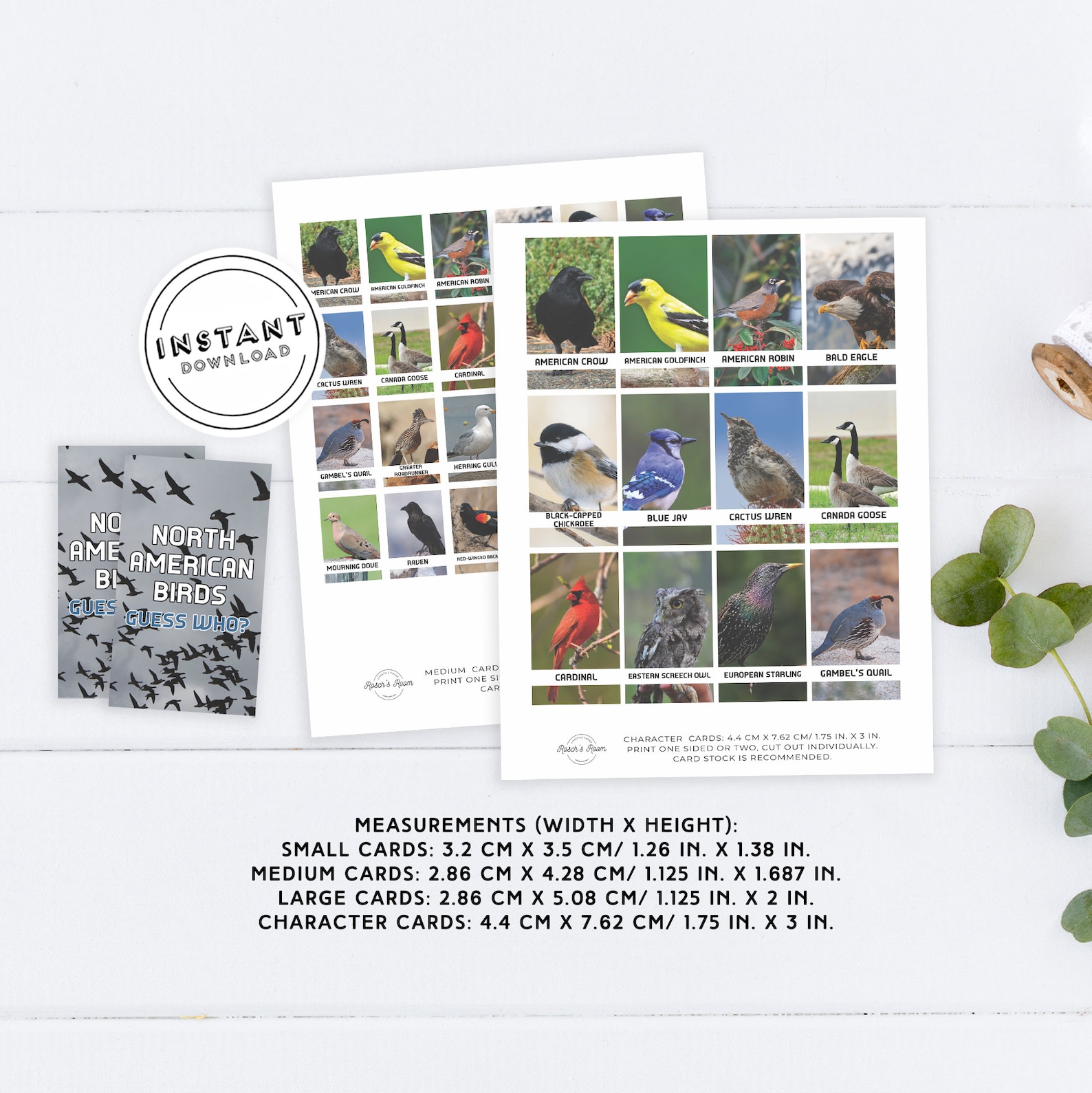 North American Birds Who Printable Template Gather Round - Etsy