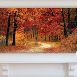 May include: A winding path leads through a forest with vibrant red, orange, and yellow autumn leaves. The trees are bare in some areas, revealing the path.