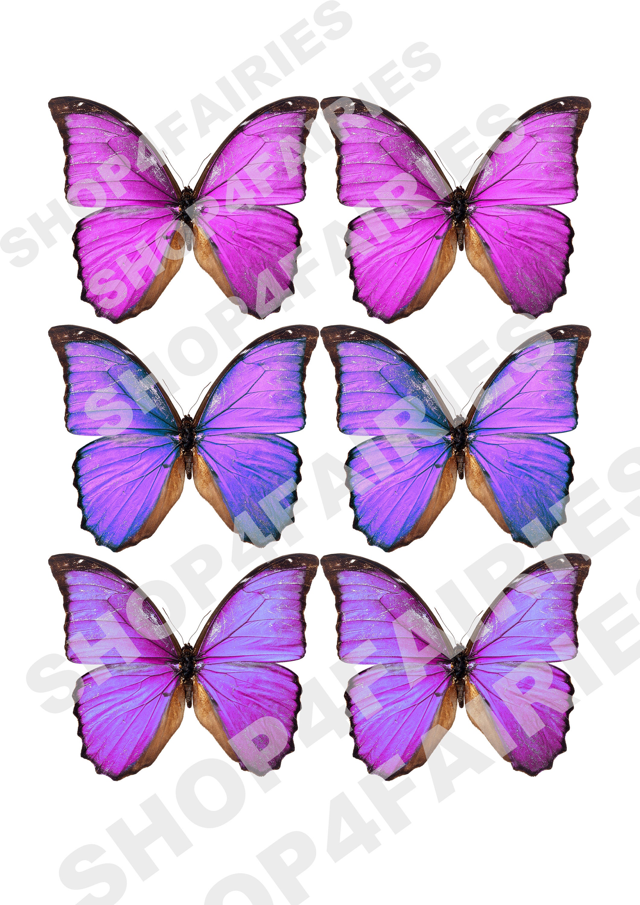 Purple Butterfly PNG Instant Download for DIY Projects High Quality ...