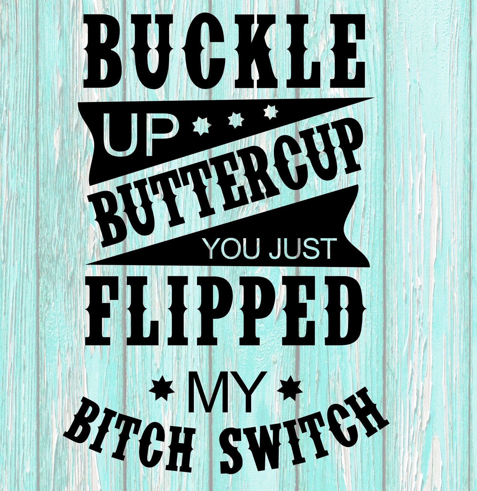 buckle up buttercup you just flipped my