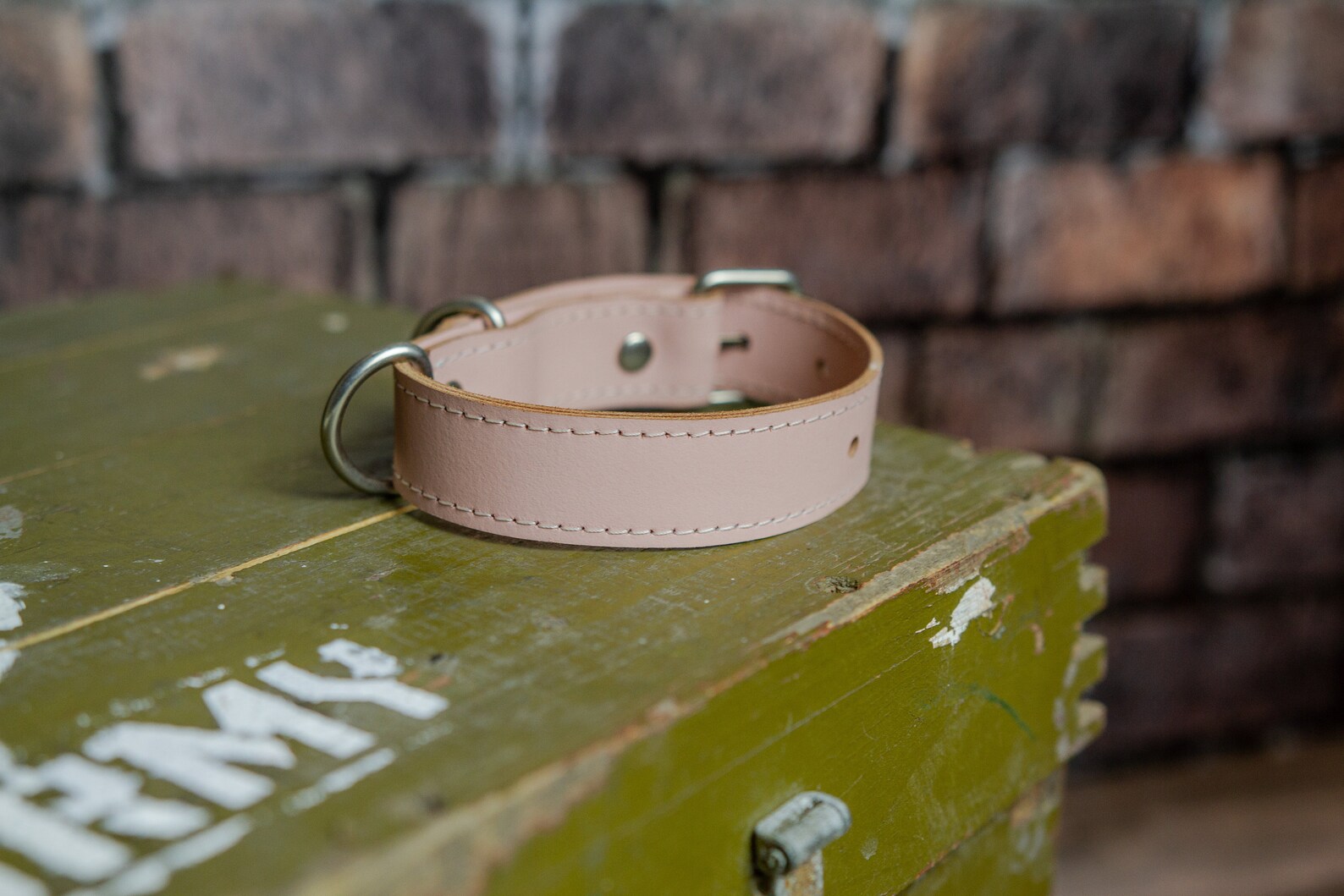 Padded Leather Dog Collar With Bitpersonalized Dog Etsy