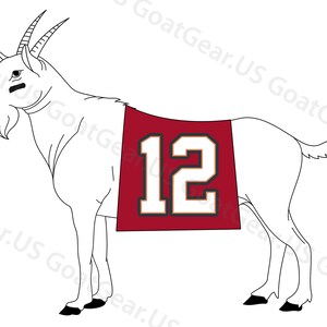 Limited Edition Tom Brady GOAT-12 Tampa Bay Buccaneers | Etsy