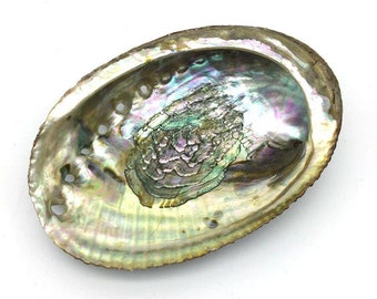 Abalone Sea Shell 100% Natural Smudging Burner Resin Incense Or Sage - 5" Long