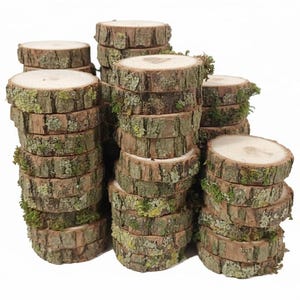 50 Willow Wood Slices | Rustic Wedding Place Cards