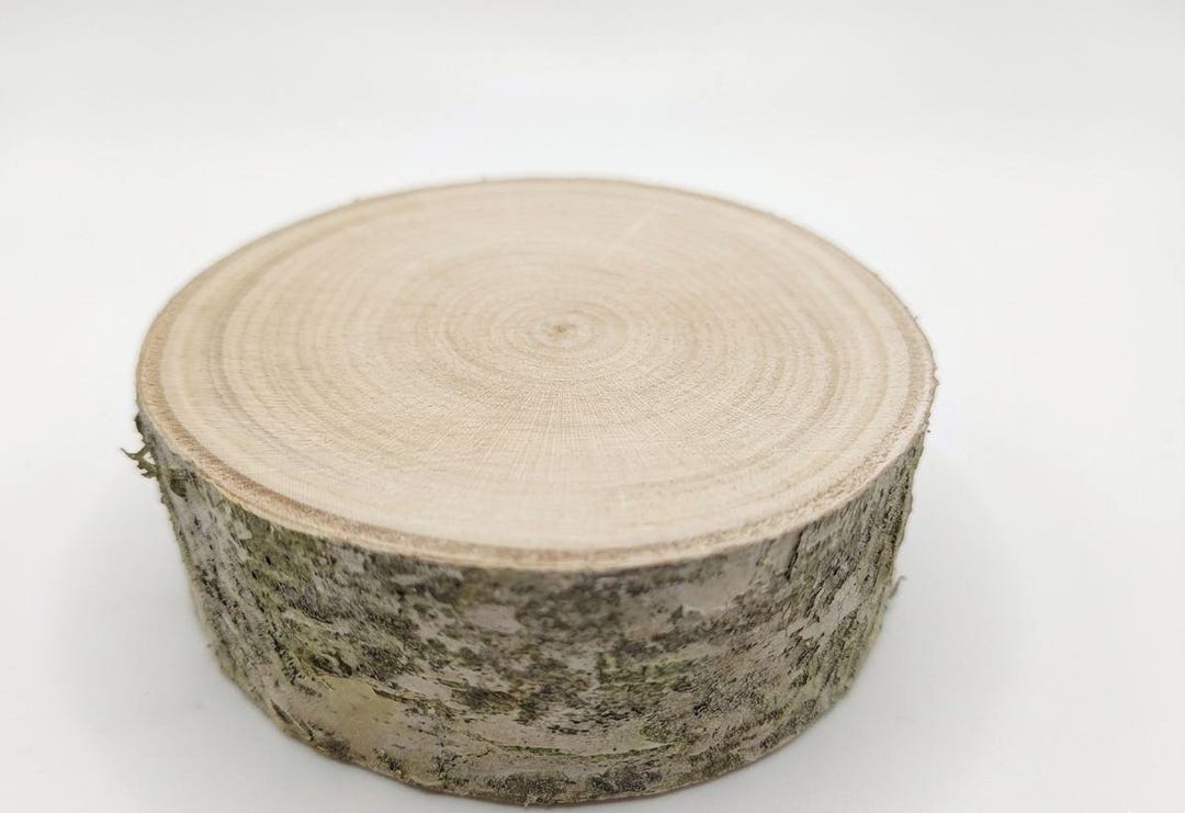 Sanded Birch Wood Slices (20 Pcs) – Natural Rustic Wood Rounds for ...