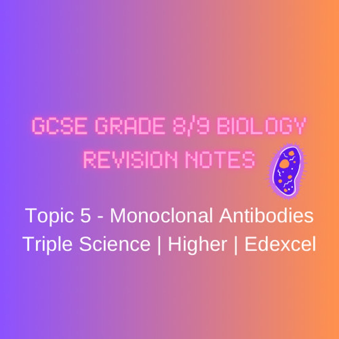 GCSE Monoclonal Antibodies Notes Etsy
