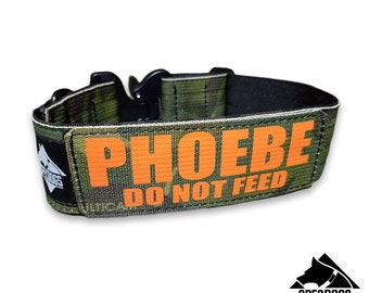 Tactical Dog Collar Green Camo 2"  Plastic quick release and Personalized with 2 lines