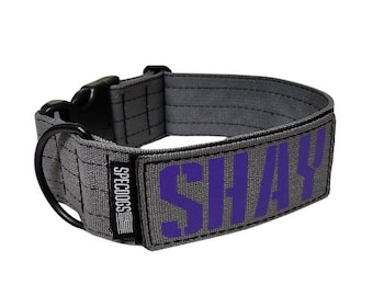Personalized 2" Tactical Dog Collar Gray with  Militia Font Personalized Patch ID