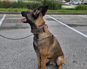 Tactical Dog Collar Coyote 2" with Handle and stencil style personalized patch