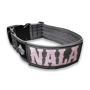 May include: A gray dog collar with a black buckle and a pink patch that says "NALA".