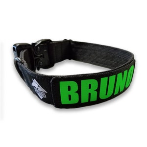 Pode incluir: Coleira de cão preta com um remendo verde que diz "BRUNO".