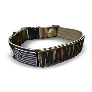 May include: A black and green camouflage dog collar with a black buckle and a black patch that says "MAXIM" in white letters. The collar also has a small American flag patch.