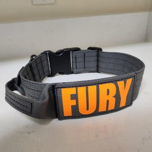 Può includere: Collare grigio per cani con fibbia in plastica nera e passante per guinzaglio. Il collare presenta la parola "FURY" in lettere arancioni. Il collare è realizzato in un materiale resistente e tessuto.