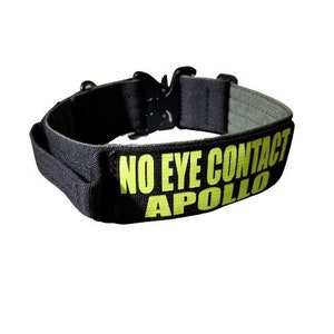 Könnte beinhalten: Schwarzer taktischer Hundehalsband mit einem gelben "NO EYE CONTACT APOLLO" Patch.