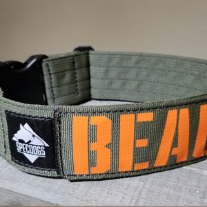 Peut inclure: Un collier de chien vert avec une boucle noire et un patch noir avec le texte "SPECDOGS" en blanc. Le collier a un patch orange avec le texte "BEAU" en blanc.