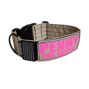 Tactical 2&quot; Dog Collar with Quick Release Plastic Buckle, 2 line Name Patch and Flag
