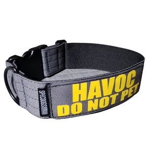 May include: Grey dog collar with a yellow "HAVOC DO NOT PET" label and a black buckle. The collar has a black "SPECDOGS" label on the side.