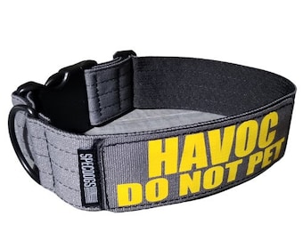 Tactical 2" Dog Collar Gray 2 Line Messaging and Name Removable Patch