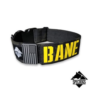 Peut inclure: Collier de chien camouflage noir et vert avec une étiquette de nom jaune qui dit "BANE" et un patch drapeau américain argenté.