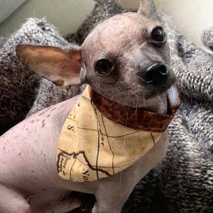 Hund / Katze Mittelalterlicher Kartenschal