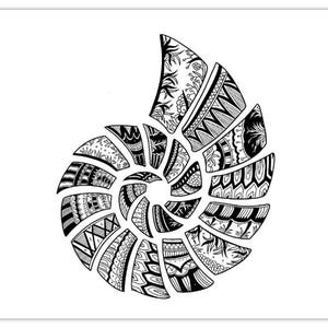 Nautilus Zentangle Collection