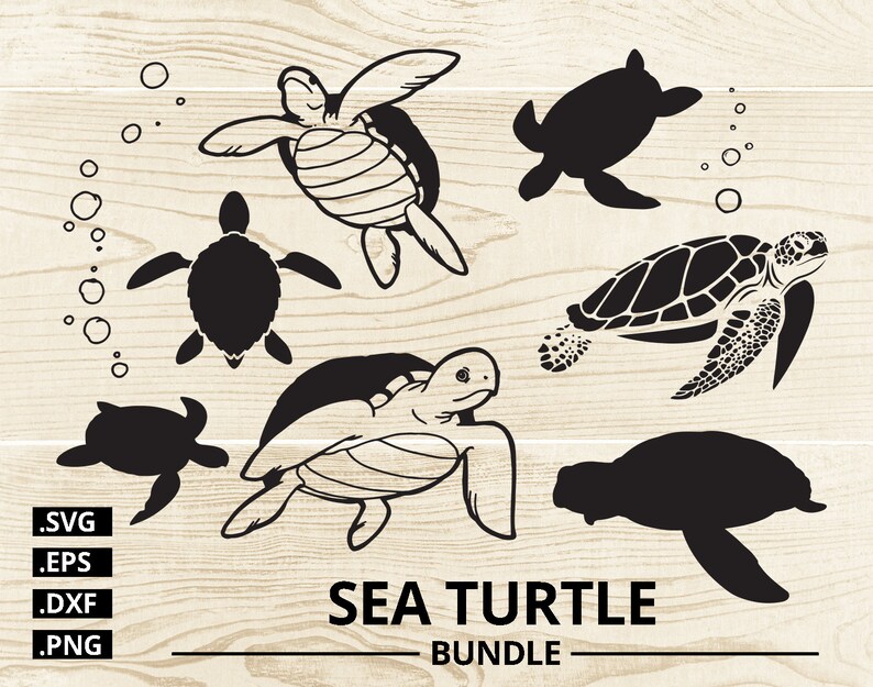 Download Stamps Sea Turtle Svg Bundle Svg Files For Cricut Dxf Turtle Silhouette Eps Turtle Clipart Files Png Cutting Carving