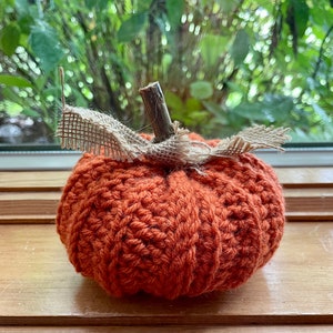 Rustic Pumpkin, Crochet image 1