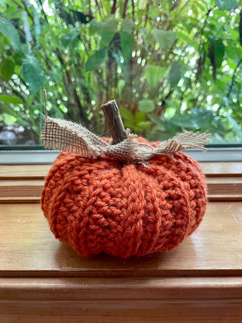 Rustic Pumpkin, Crochet image 1